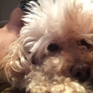 Meet your Posher, Janice